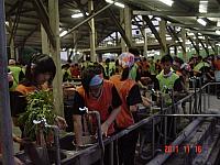 DSC08585