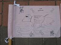 IMG 6237
