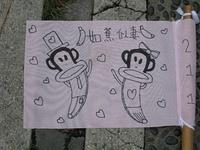 IMG 6242