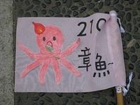 IMG 6247