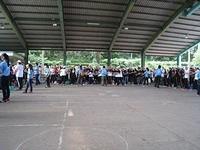 IMG 6445