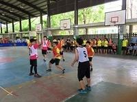 IMG 1786
